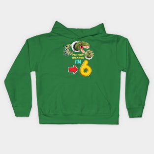 6th Birthday Dinosaur Kids Hoodie